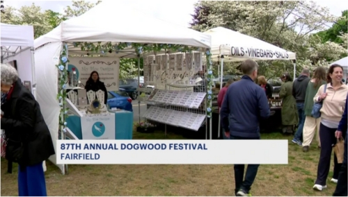 Greenfield Hill Dogwood Festival thumbnail for news story link